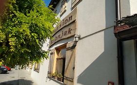 Pansion Ribnjak